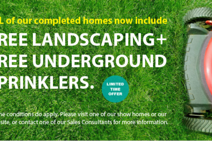 Poster Landscaping Promotion August 2019