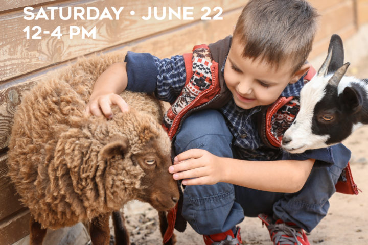 Radio Remote Social Media Post Petting Zoo June 19 2019