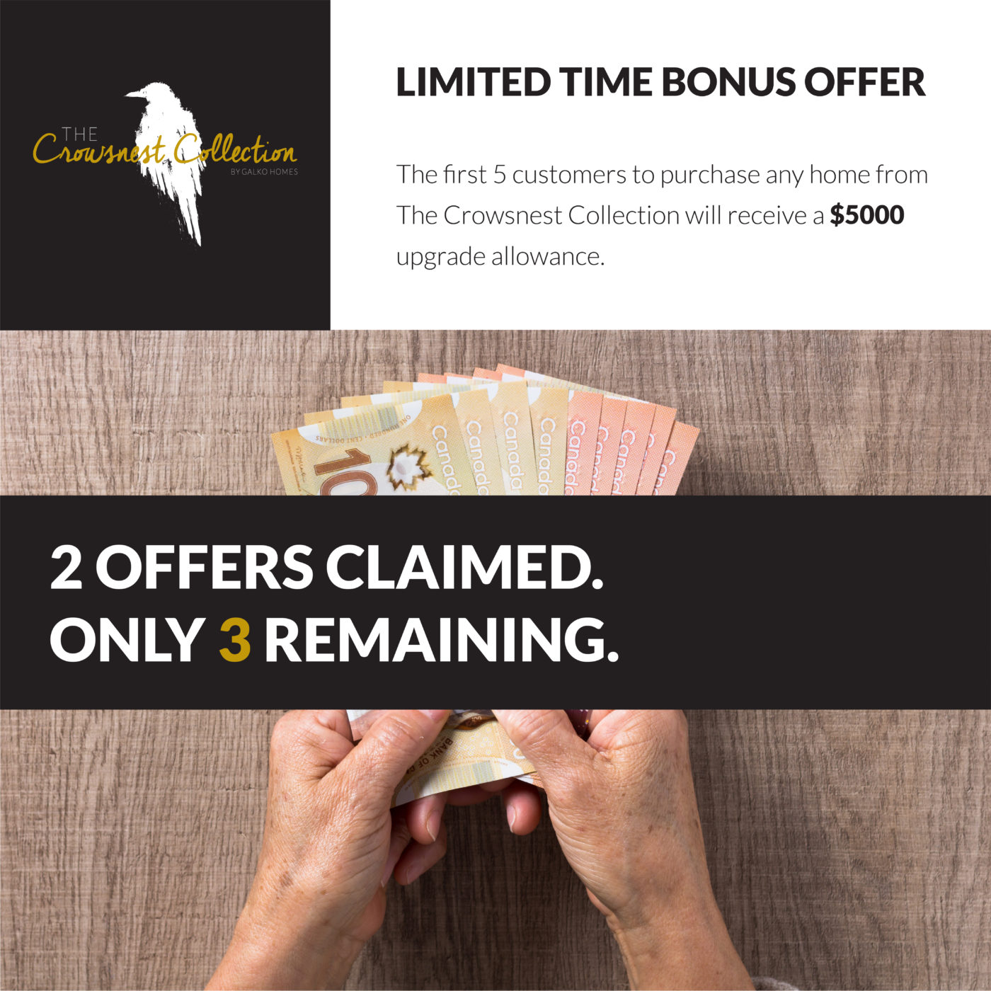 Facebook Post Limited Time Bonus Offer