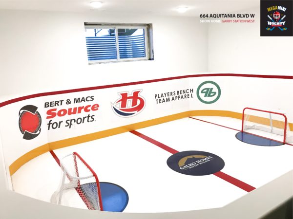 We Built A Mini Hockey Rink Galko Homes